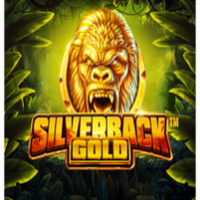 Silverback Gold